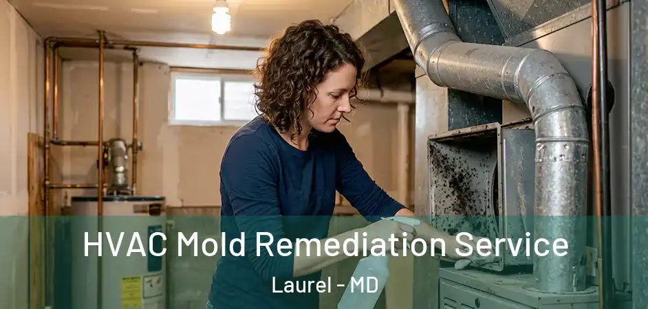 HVAC Mold Remediation Service Laurel - MD